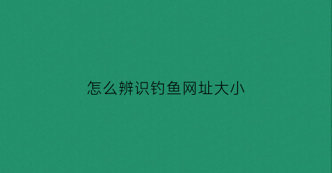 怎么辨识钓鱼网址大小