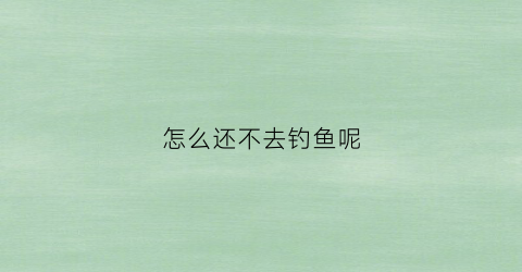 怎么还不去钓鱼呢(钓鱼怎么钓不到)