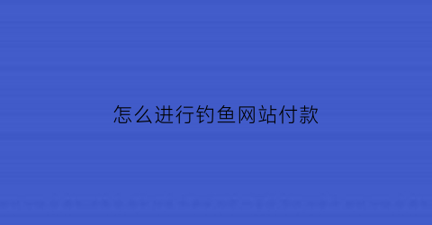 “怎么进行钓鱼网站付款(怎么弄钓鱼网站)