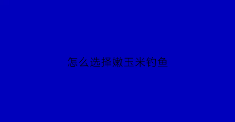 怎么选择嫩玉米钓鱼(嫩玉米钓鱼用什么打窝诱鱼快)
