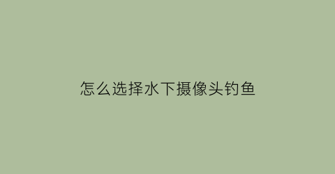 怎么选择水下摄像头钓鱼(如何选择水下摄像头)