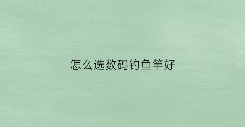 “怎么选数码钓鱼竿好(淘宝钓鱼数码)