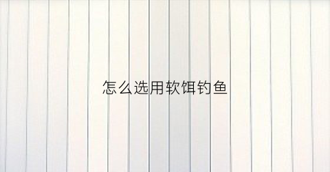 怎么选用软饵钓鱼(软饵钓什么)