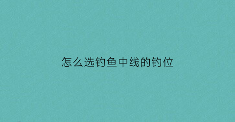 怎么选钓鱼中线的钓位(中线怎么用)