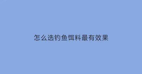 “怎么选钓鱼饵料最有效果(钓鱼如何选)