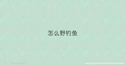 怎么野钓鱼(如何野钓)
