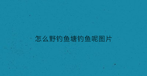 怎么野钓鱼塘钓鱼呢图片(如何在野塘钓鱼)