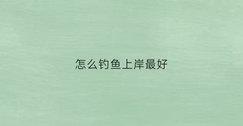 怎么钓鱼上岸最好(怎么钓鱼上鱼快)