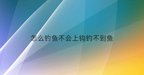 “怎么钓鱼不会上钩钓不到鱼(怎么钓鱼不会断竿)