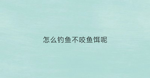 怎么钓鱼不咬鱼饵呢(怎么钓鱼不咬鱼饵呢图片)