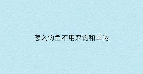 “怎么钓鱼不用双钩和单钩(不用钓饵的鱼钩)