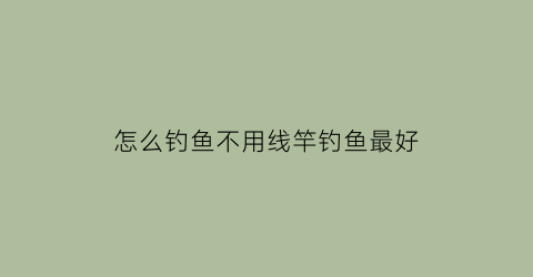怎么钓鱼不用线竿钓鱼最好(钓鱼不用杆是什么钓法)