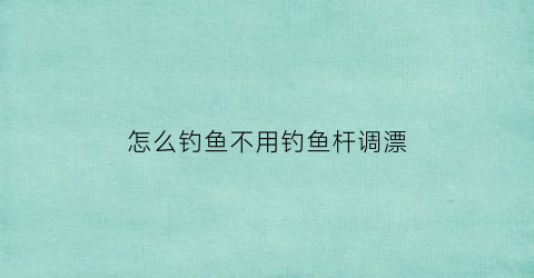 怎么钓鱼不用钓鱼杆调漂