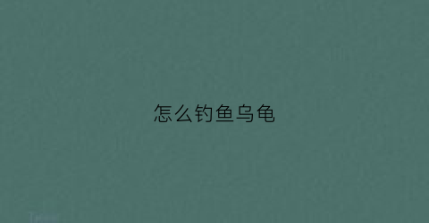 怎么钓鱼乌龟