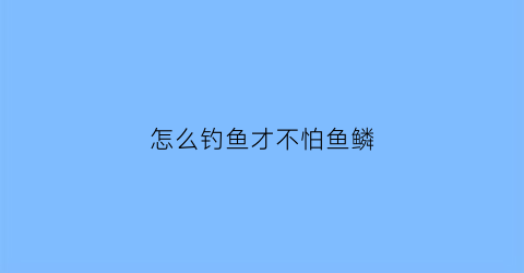 怎么钓鱼才不怕鱼鳞