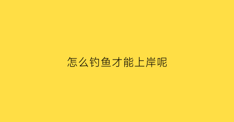 怎么钓鱼才能上岸呢