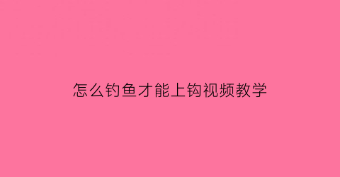 怎么钓鱼才能上钩视频教学(钓鱼要怎么钓鱼才上钩的快)