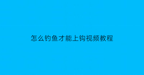 怎么钓鱼才能上钩视频教程