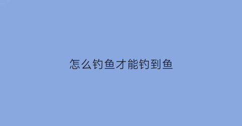 怎么钓鱼才能钓到鱼(新手钓鱼入门基本知识)