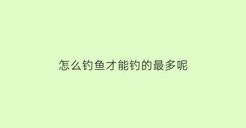 “怎么钓鱼才能钓的最多呢(怎么样才能钓鱼钓得多)