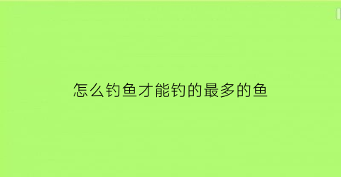 怎么钓鱼才能钓的最多的鱼