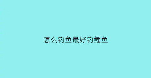 怎么钓鱼最好钓鲤鱼(如何钓鱼鲤鱼)