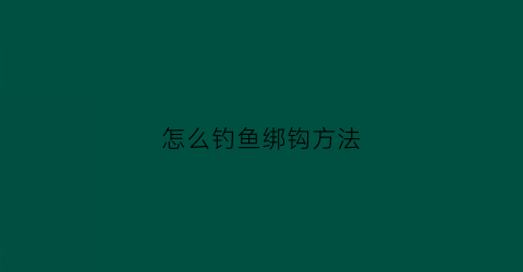 怎么钓鱼绑钩方法(钓鱼怎样绑钓鱼钩的视频)