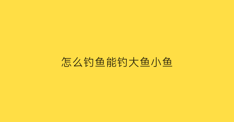 “怎么钓鱼能钓大鱼小鱼(怎么可以钓到大鱼)