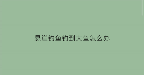 “悬崖钓鱼钓到大鱼怎么办(悬崖钓鱼钓到大鱼怎么办啊)