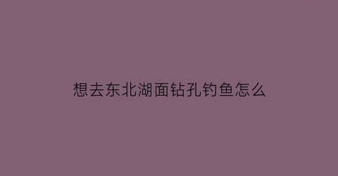 想去东北湖面钻孔钓鱼怎么(东北什么湖出鱼)