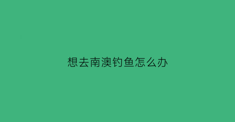 想去南澳钓鱼怎么办