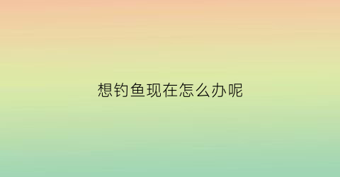 想钓鱼现在怎么办呢(想钓鱼现在怎么办呢)