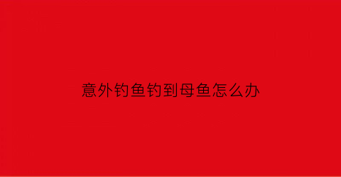 意外钓鱼钓到母鱼怎么办