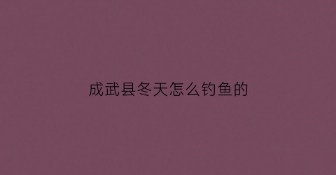 成武县冬天怎么钓鱼的