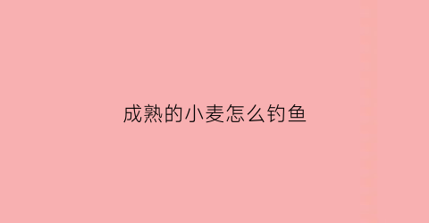 成熟的小麦怎么钓鱼