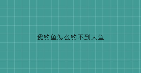 我钓鱼怎么钓不到大鱼