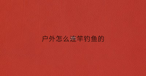 户外怎么连竿钓鱼的(户外怎么连竿钓鱼的视频)