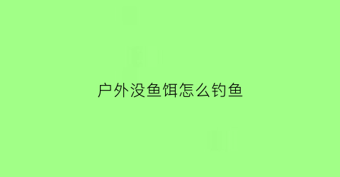 “户外没鱼饵怎么钓鱼(户外没鱼饵怎么钓鱼呢)