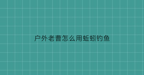户外老曹怎么用蚯蚓钓鱼(农村人用蚯蚓钓鱼视频)