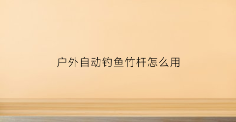 户外自动钓鱼竹杆怎么用(竹竿自动钓鱼制作方法)