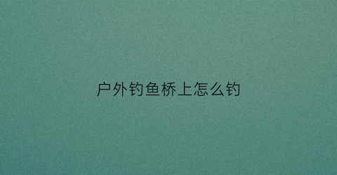 户外钓鱼桥上怎么钓(桥上钓鱼视频)