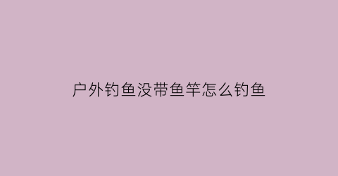 户外钓鱼没带鱼竿怎么钓鱼(没有鱼竿的钓鱼装备)