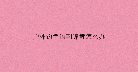 “户外钓鱼钓到锦鲤怎么办(钓到锦鲤是凶是吉)