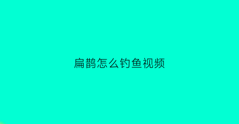 扁鹊怎么钓鱼视频(扁鹊的玩法和技巧视频)