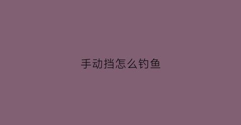 手动挡怎么钓鱼(手动挡怎么玩)