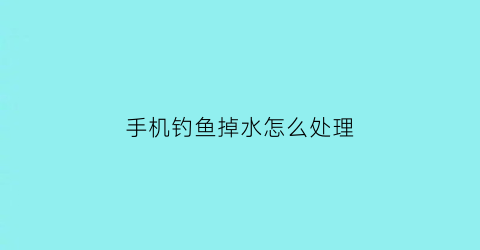 “手机钓鱼掉水怎么处理(钓鱼把手机掉水里了笑话)