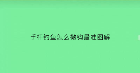 手杆钓鱼怎么抛钩最准图解(手杆钓鱼怎么抛钩最准图解)