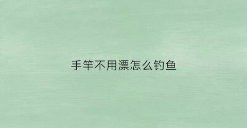 手竿不用漂怎么钓鱼(手竿不用漂怎么钓鱼视频教程)