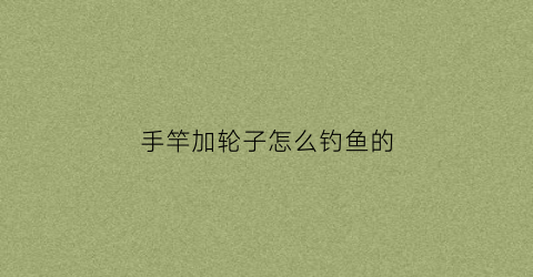 手竿加轮子怎么钓鱼的(手竿加轮子怎么钓鱼的呢)