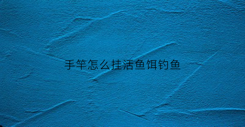 手竿怎么挂活鱼饵钓鱼(用手竿怎么挂鱼)
